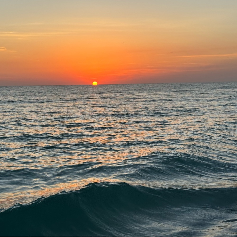 Meet your Posher, Lynn